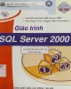 Giáo trình SQL Server 2000: Phần 1