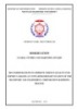 Dissertation: Recommendations to improve service quality for export cargoes at CFS of The Transport and Chartering Corporation – Hai phong branch