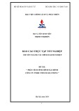 Báo cáo thực tập tốt nghiệp: Phân tích tình hình tài chính Công ty TNHH Vitech Solutions