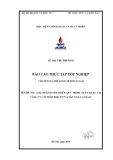 Báo cáo thực tập tốt nghiệp: Giải pháp hoàn thiện quy trình xuất khẩu tại Công ty Cổ phần Đầu tư và Sản xuất Canavi
