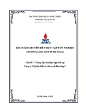 Báo cáo chuyên đề thực tập tốt nghiệp: Công việc của thực tập sinh tại Công ty Cổ phần Đầu tư Sản xuất Bảo Ngọc