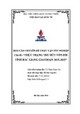 Báo cáo chuyên đề thực tập tốt nghiệp: Thực trạng thu hút vốn FDI tỉnh Bắc Giang giai đoạn 2015-2023