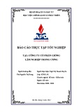 Báo cáo thực tập tốt nghiệp: Ngành Kế toán tại Công ty Cổ phần Giống lâm nghiệp Trung ương