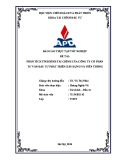 Báo cáo thực tập tốt nghiệp: Phân tích tình hình tài chính của Công ty Cổ phần tư vấn đầu tư phát triển Xây dựng và Viễn thông