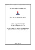 Khóa luận tốt nghiệp: Phân tích báo cáo tài chính công ty TNHH Bảo hiểm nhân thọ Daiichi Việt Nam