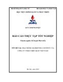 Báo cáo thực tập tốt nghiệp: Hoạt động marketing content của Công ty TNHH thiết bị HT Việt Nam